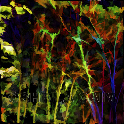 An expressionist imagA wild digital painting of a forest scene