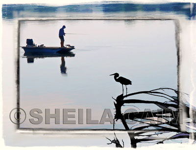 A digital watercolor of a fisherman watched by a Great Blue Heron