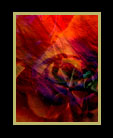 An iridescent and highly textured orange flower close-up_ thumbnail