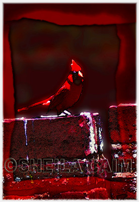 Cardinal