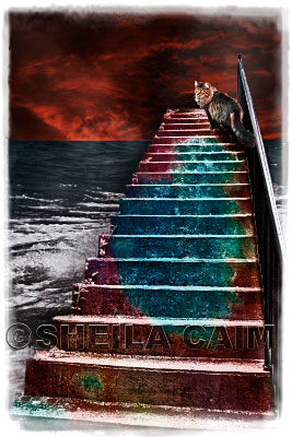 A surrealistic image of a cat walking up steps rising out of the ocean.