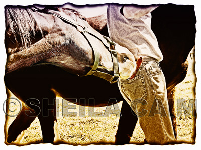 A horse stealing a carrot