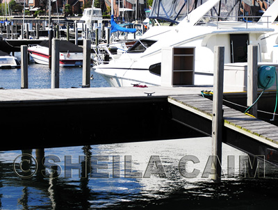 pleasure boats docked