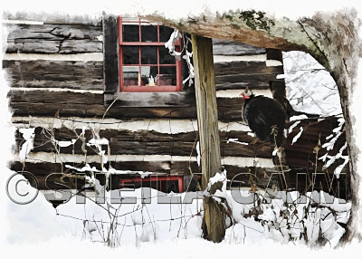 A snowy scene with a  guinea hen sitting on a fence