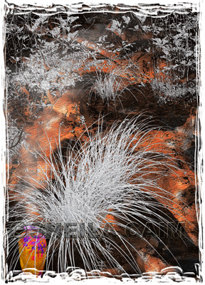 A (partially infrared) dreamscape of grasses on a burning rocky plane