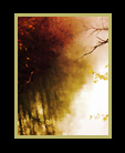 An autumn river scene thumbnail