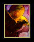 An eagle flying in a maelstrom of colors thumbnail