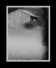 Foggy scene thumbnail