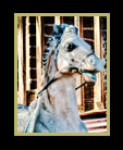 A broken hobby horse on a porch galloping away thumbnail