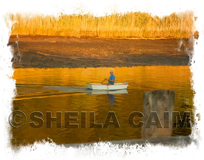 A sunset image of a man in a boat, fishing