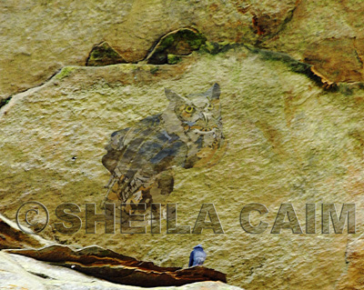 "Cave painting" of owl
