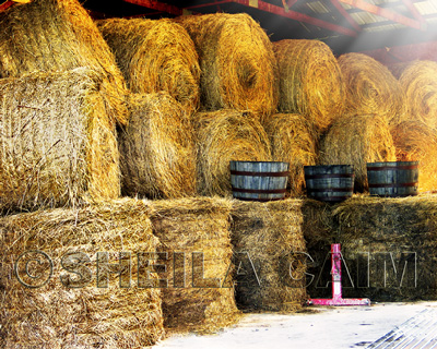 Hay Barn