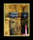  Hay Barn thumbnail