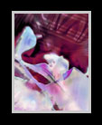 abstract digital painting starting with the heart of a rose thumbnail