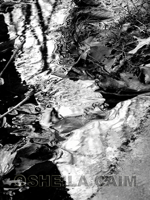 IceWays is a collection of three images, each expressing an aspect of frozen water in winter.  I am fascinated by the texture of the ice and how light is reflected so differently in each of the three images.  I have chosen to show #1 in black & white to emphasize the starkness of the season.