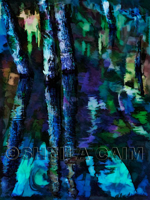 Night in a wood filled with indigo hued colors