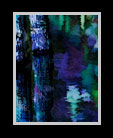 Night in a wood filled with indigo hued colors thumbnail