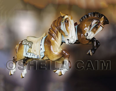 One of a series of carousel images