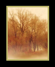 Misty landscape thumbnail