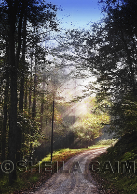 image of a country road