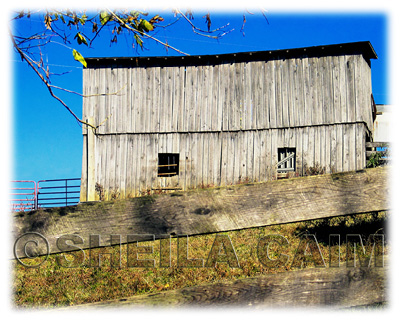 Old Barn