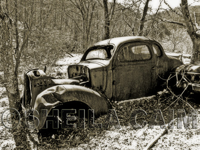 Old car in old car graveyard