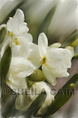 A digital pastel of daffodils.