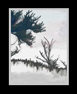 Painted Woods thumbnail