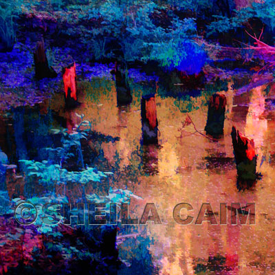 An expressionist image of a wetlands bog