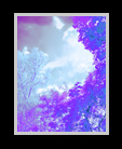 Infrared digital painting of trees and sky thumbnail