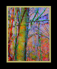 A  "multi colored" wooded scene thumbnail