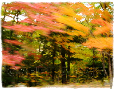 Part of series of landscaps in motion
