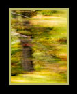 Part of series of landscapes in motion thumbnail