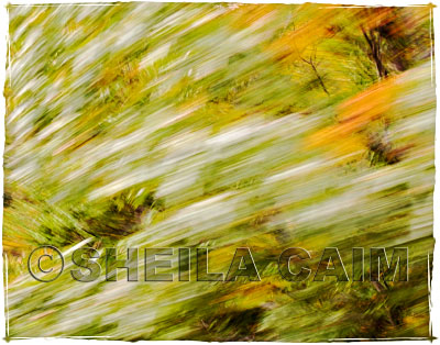 Part of series of landscapes in motion