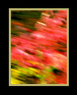 Part of series of landscapes in motion thumbnail