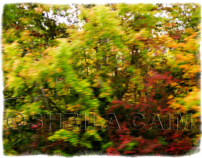 Part of series of landscapes in motion