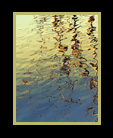 Reflections in river that look like streams of gold thumbnail