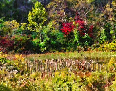 An end of summer flowerscape