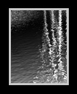 Black and white image of reflections of trees thumbnail