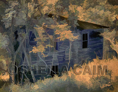 A digital painting of an old farmhouse in the woods