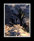 A digital painting of an infrared image of trees thumbnail