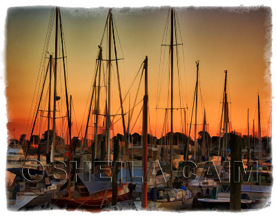 A sunset image of many boats "tucked in" for the night