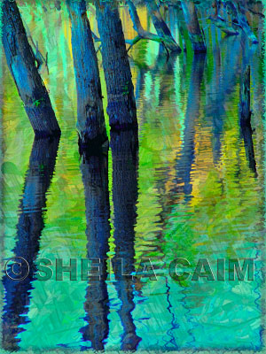 an iridescent river scene