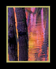 Fourth of series of an iridescent river scene thumbnail