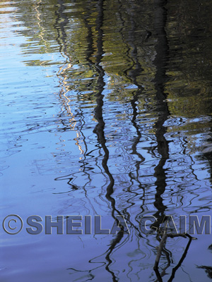 Silky reflections of trees in a river