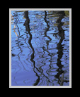 Silky reflections of trees in a river thumbnail