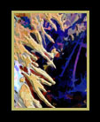 An abstract digital painting of colorful dancing waves thumbnail