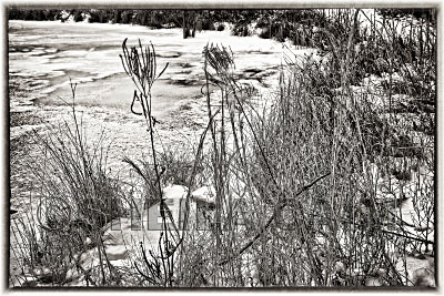 water rushing in a Black and white winter river scene